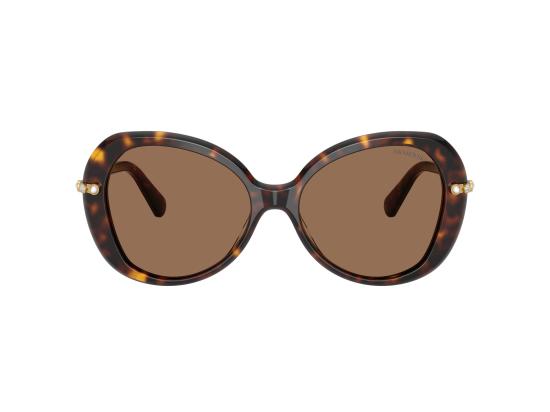 26FW 스와로브스키 선글라스 0SK6059 BROWN - SWAROVSKI