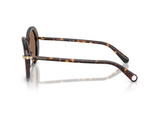 26FW 스와로브스키 선글라스 0SK6059 BROWN - SWAROVSKI