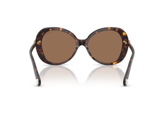 26FW 스와로브스키 선글라스 0SK6059 BROWN - SWAROVSKI