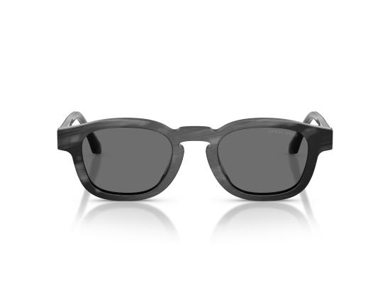26FW 조르지오 아르마니 선글라스 0AR8254U BROWN - GIORGIO ARMANI