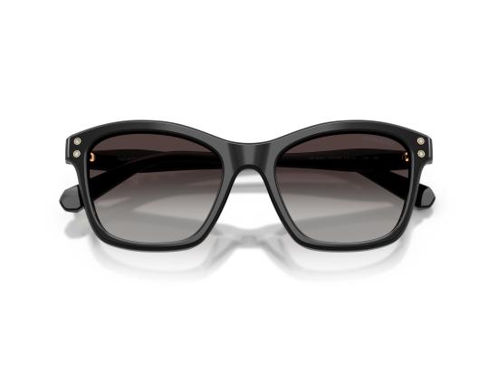 26FW 스와로브스키 선글라스 0SK6063 BLACK - SWAROVSKI