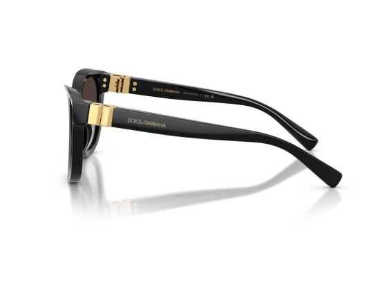 26FW 돌체앤가바나 선글라스 0DG4533 BLACK - DOLCE & GABBANA