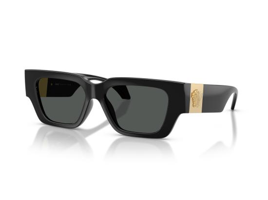 26FW 베르사체 선글라스 0VE4497U BLACK - VERSACE