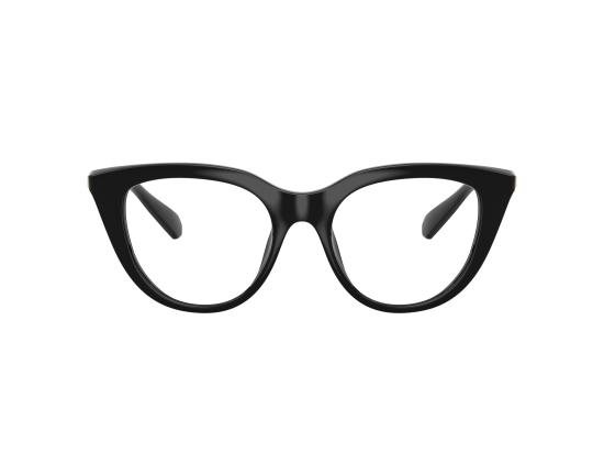 26FW 스와로브스키 안경 0SK2052 BLACK - SWAROVSKI