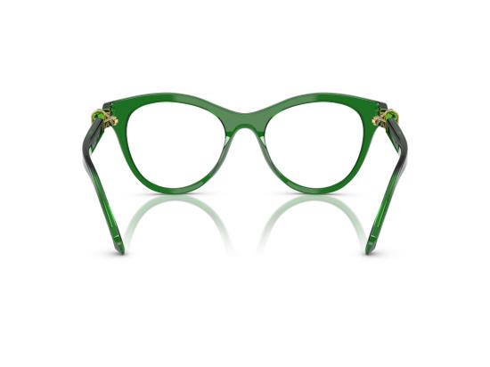 26FW 스와로브스키 안경 0SK2036 GREEN - SWAROVSKI