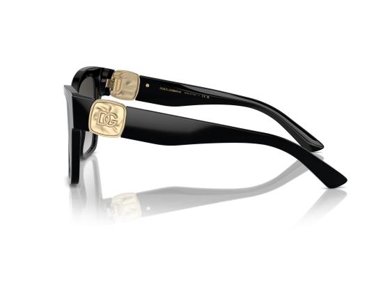 26SS 돌체앤가바나 선글라스 0DG4470 BLACK - DOLCE & GABBANA