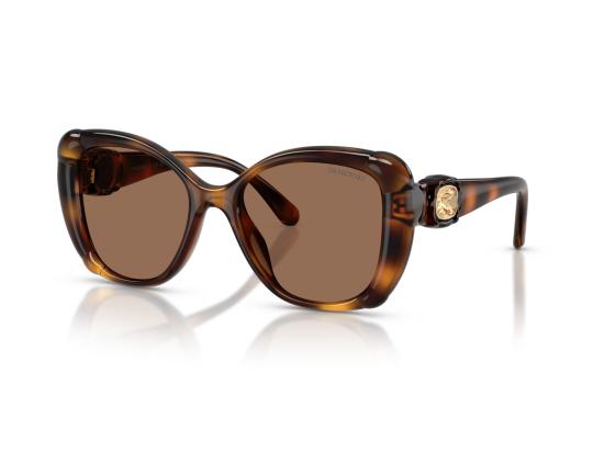 26FW 스와로브스키 선글라스 0SK6051U BROWN - SWAROVSKI