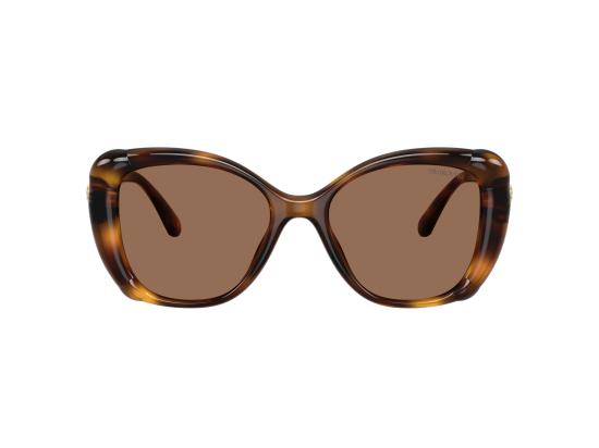 26FW 스와로브스키 선글라스 0SK6051U BROWN - SWAROVSKI
