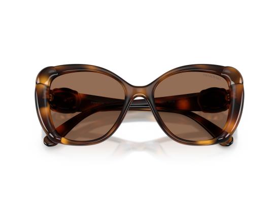 26FW 스와로브스키 선글라스 0SK6051U BROWN - SWAROVSKI