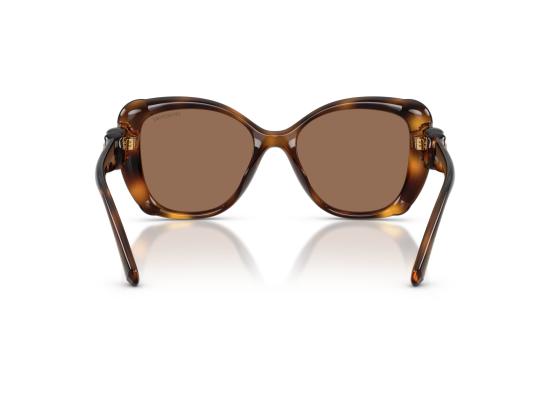 26FW 스와로브스키 선글라스 0SK6051U BROWN - SWAROVSKI