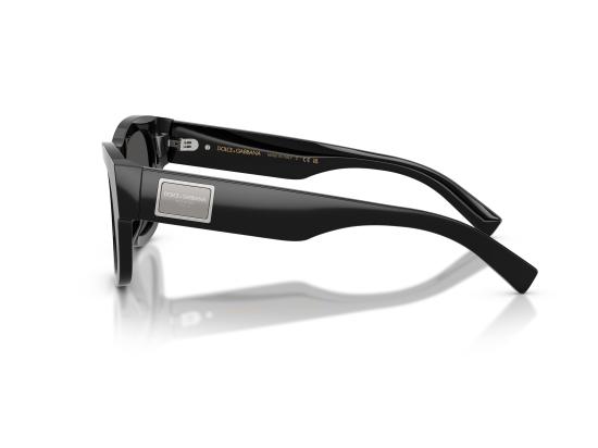 26FW 돌체앤가바나 선글라스 0DG4509 BLACK - DOLCE & GABBANA