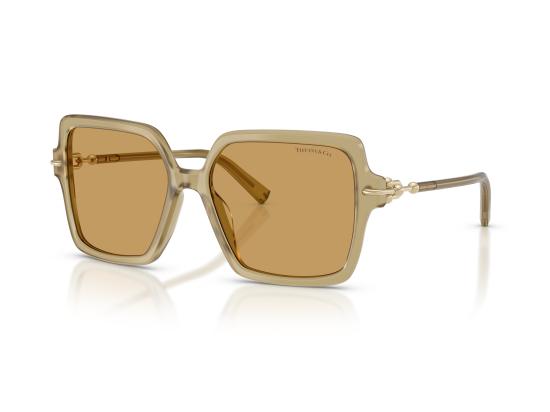 26FW 티파니앤코 선글라스 0TF4260U BROWN - TIFFANY & CO