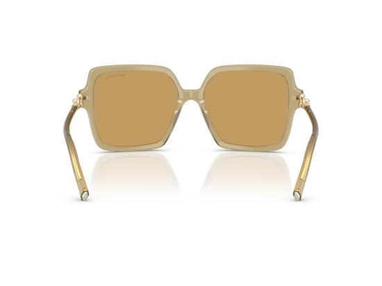 26FW 티파니앤코 선글라스 0TF4260U BROWN - TIFFANY & CO