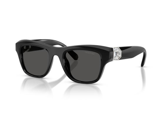 26FW 스와로브스키 선글라스 0SK6056U BLACK - SWAROVSKI