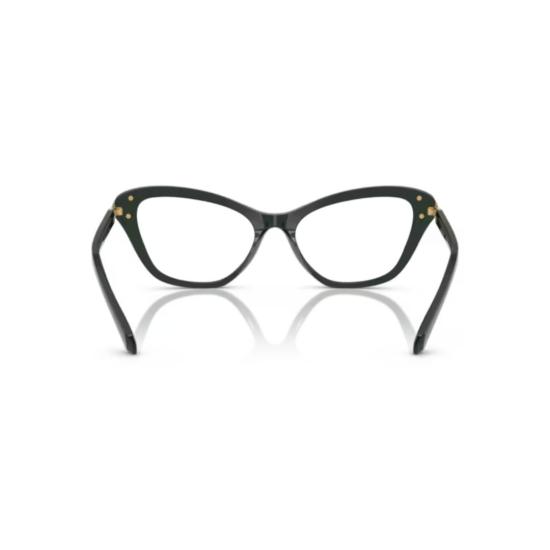 26FW 스와로브스키 안경 0SK2031 GREEN - SWAROVSKI