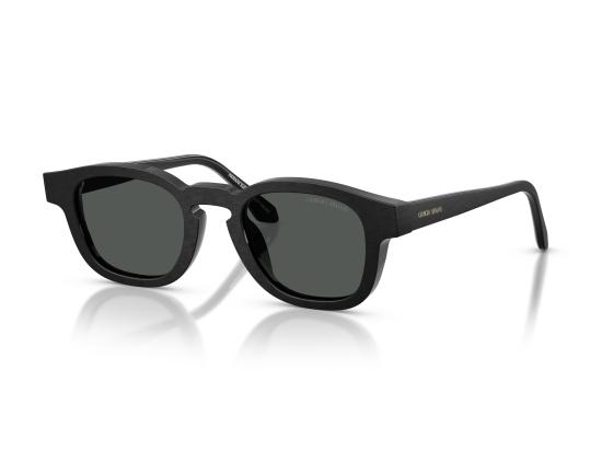 26FW 조르지오 아르마니 선글라스 0AR8254U BLACK - GIORGIO ARMANI