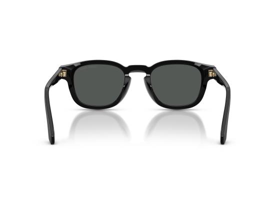 26FW 조르지오 아르마니 선글라스 0AR8254U BLACK - GIORGIO ARMANI