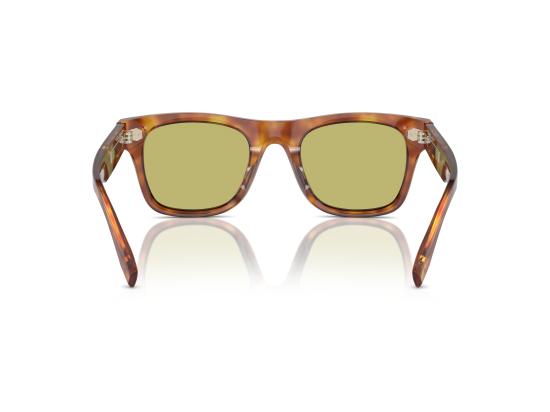 26FW 브루넬로 쿠치넬리 선글라스 0BC4002S BROWN - BRUNELLO CUCINELLI