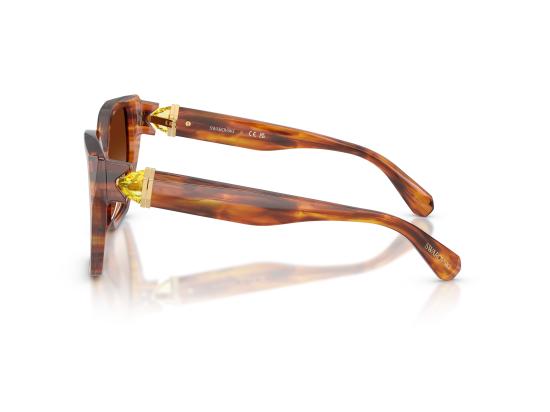 26FW 스와로브스키 선글라스 0SK6044U BROWN - SWAROVSKI