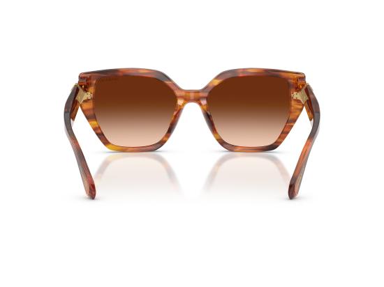 26FW 스와로브스키 선글라스 0SK6044U BROWN - SWAROVSKI