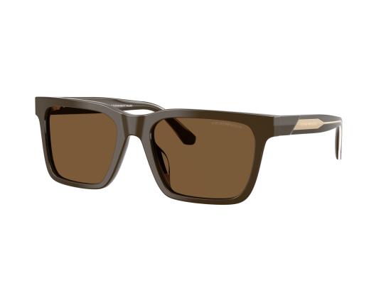26FW 엠포리오 아르마니 선글라스 0EA4262U BROWN