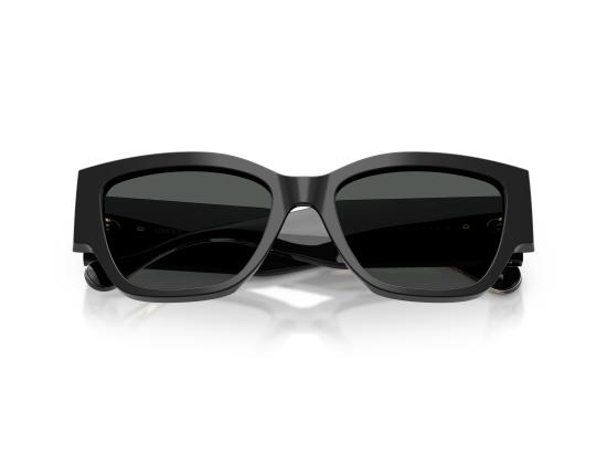 26FW 베르사체 선글라스 0VE4509U BLACK - VERSACE
