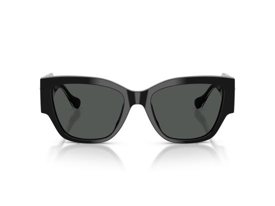 26FW 베르사체 선글라스 0VE4509U BLACK - VERSACE
