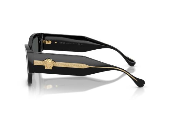 26FW 베르사체 선글라스 0VE4509U BLACK - VERSACE