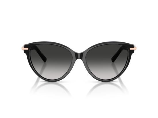 26FW 티파니앤코 선글라스 0TF4261 BLACK - TIFFANY & CO