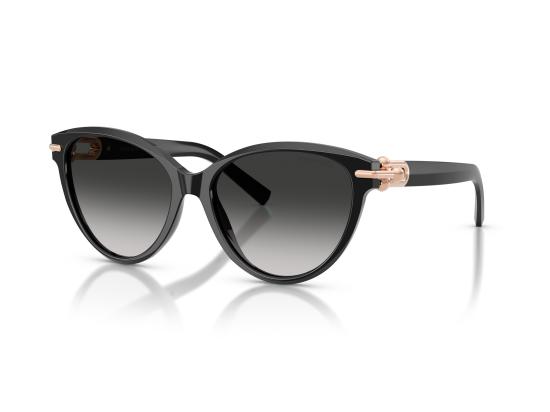 26FW 티파니앤코 선글라스 0TF4261 BLACK - TIFFANY & CO