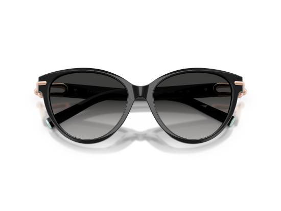 26FW 티파니앤코 선글라스 0TF4261 BLACK - TIFFANY & CO