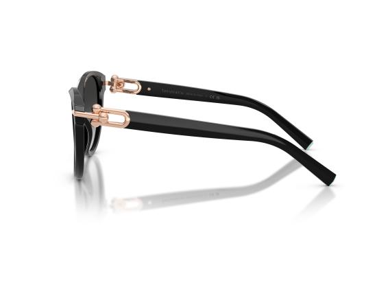 26FW 티파니앤코 선글라스 0TF4261 BLACK - TIFFANY & CO