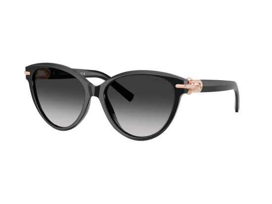 26FW 티파니앤코 선글라스 0TF4261 BLACK