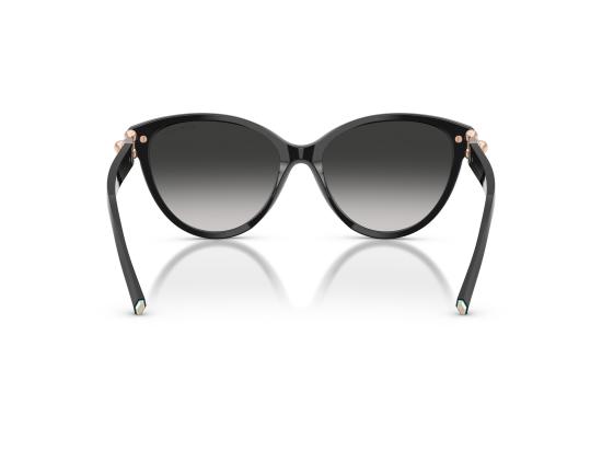 26FW 티파니앤코 선글라스 0TF4261 BLACK - TIFFANY & CO