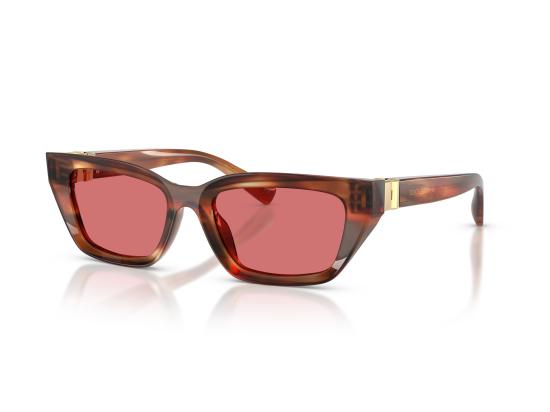 26FW 돌체앤가바나 선글라스 0DG4532 BROWN - DOLCE & GABBANA