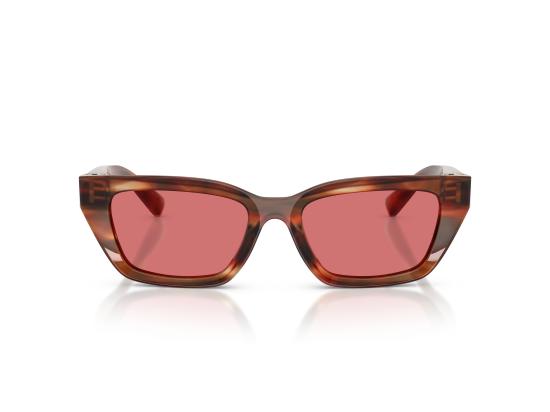26FW 돌체앤가바나 선글라스 0DG4532 BROWN - DOLCE & GABBANA