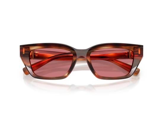 26FW 돌체앤가바나 선글라스 0DG4532 BROWN - DOLCE & GABBANA