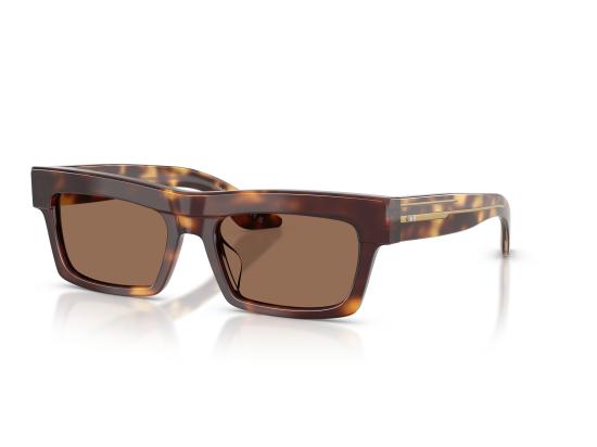 26FW 올리버피플스 선글라스 0OV5607SU BROWN - OLIVER PEOPLES