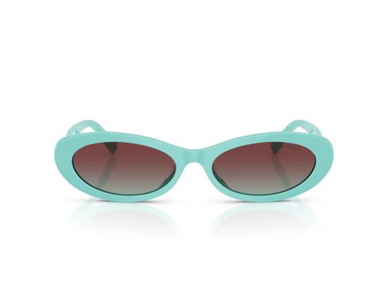 26FW 티파니앤코 선글라스 0TF4250 BLUE - TIFFANY & CO