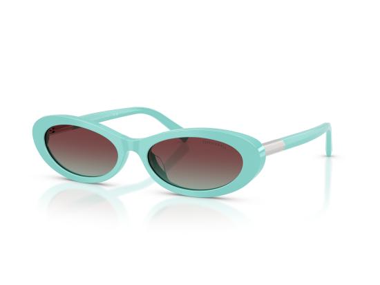 26FW 티파니앤코 선글라스 0TF4250 BLUE - TIFFANY & CO