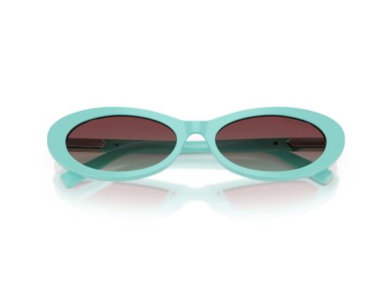 26FW 티파니앤코 선글라스 0TF4250 BLUE - TIFFANY & CO