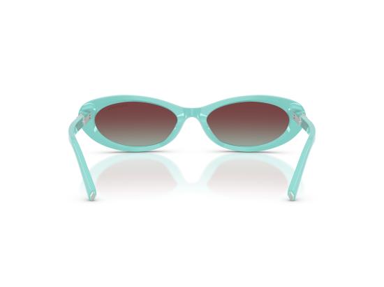 26FW 티파니앤코 선글라스 0TF4250 BLUE - TIFFANY & CO