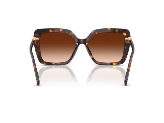 26FW 스와로브스키 선글라스 0SK6049 BROWN - SWAROVSKI