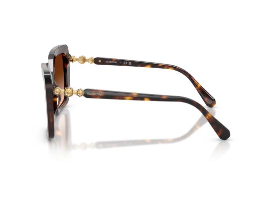 26FW 스와로브스키 선글라스 0SK6049 BROWN - SWAROVSKI
