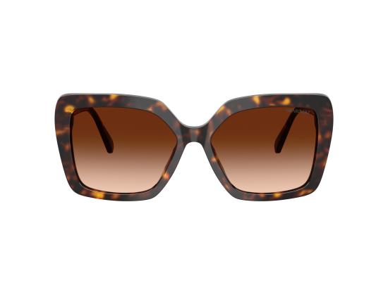 26FW 스와로브스키 선글라스 0SK6049 BROWN - SWAROVSKI