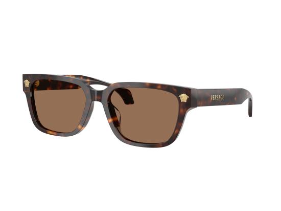 26FW 베르사체 선글라스 0VE4513D BROWN