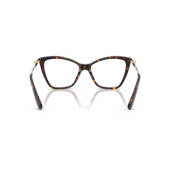 26FW 스와로브스키 안경 0SK2051 BROWN - SWAROVSKI