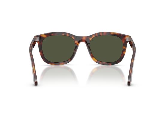 26FW 페르솔 선글라스 0PO3395S BROWN - PERSOL