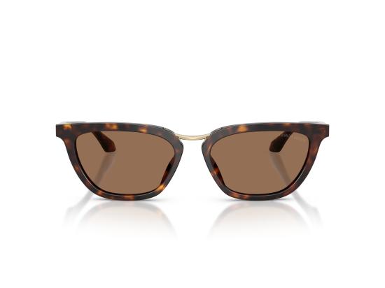 26FW 조르지오 아르마니 선글라스 0AR8253U BROWN - GIORGIO ARMANI