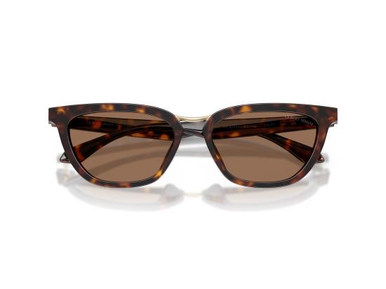 26FW 조르지오 아르마니 선글라스 0AR8253U BROWN - GIORGIO ARMANI